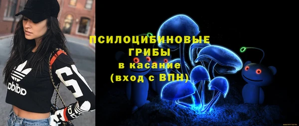 Альфа ПВП Зеленокумск