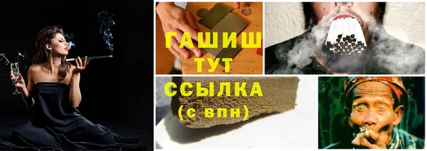 сатива Зерноград