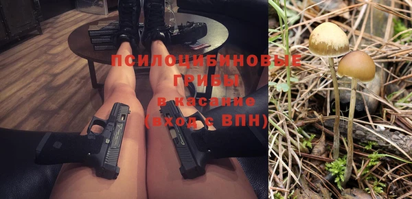 дживик Зеленодольск