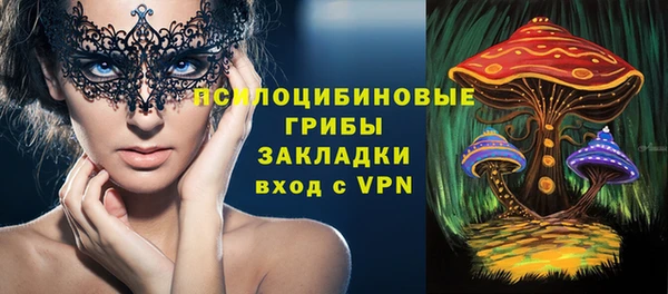 дживик Зеленодольск