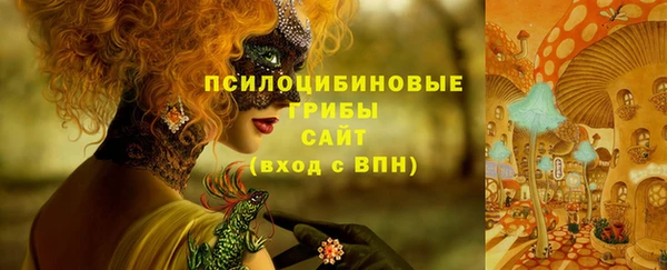 дживик Зеленодольск